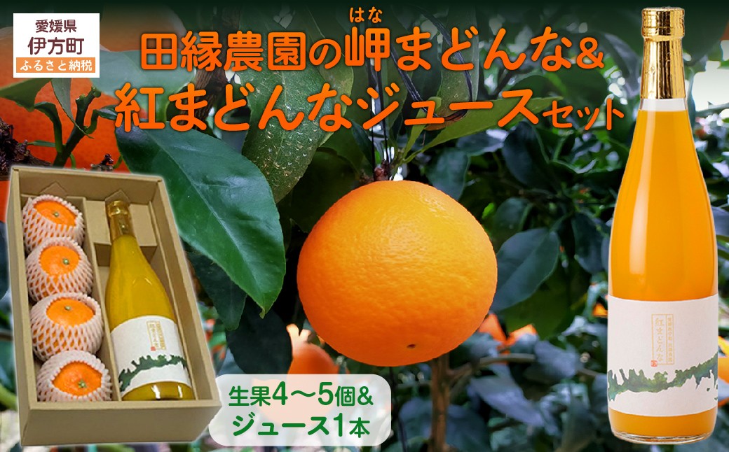 
                  【先行予約】【数量限定】田縁農園の岬（はな）まどんな生果＆紅まどんなジュースセット （2026年12月10日より順次発送） 【 ふるさと納税 人気 おすすめ ランキング みかん ミカン 蜜柑 まどんな はなまどんな 紅まどんな オレンジ ジュース オレンジジュース セット フルーツ 果物 愛媛県産 田縁農園 愛媛県 伊方町 送料無料 】 IKTA004
                