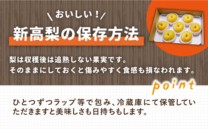 【2025年9月〜発送】シャリッと食感がたまらない！新高梨 5kg (玉数おまかせ) / 梨 なし くだもの 果物 フルーツ 常温 ギフト プレゼント 贈り物 / 南島原市 / ふるさと企画 [SBA