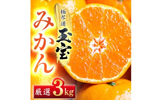 ＜愛媛名産＞玉宝みかん 3kg＜C64-26＞【1510734】 YWTY015