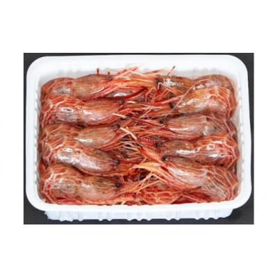 ふるさと納税 増毛町 冷凍シマエビ　500g(約40尾) |  | 01