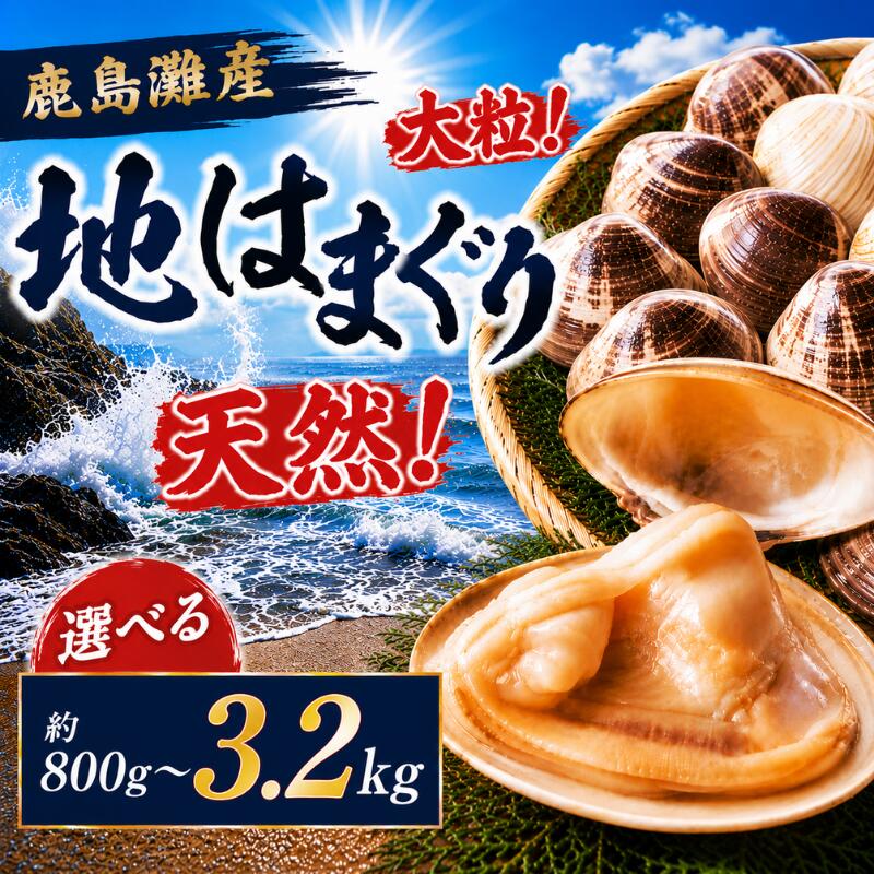 【ふるさと納税】 はまぐり 選べる 800g 1.6kg 2.4kg 3.2kg 地はまぐり 鹿島灘産 大粒 天然 ブランド 肉厚 BBQ 貝 貝類 かい 魚介類 ハマグリ 水産品 海産物 出汁 二枚貝 味噌汁 酒蒸し お吸い物 網焼き バーベキュー 冷蔵 雑煮 炊き込みご飯 鹿島灘 茨城県 鹿嶋市