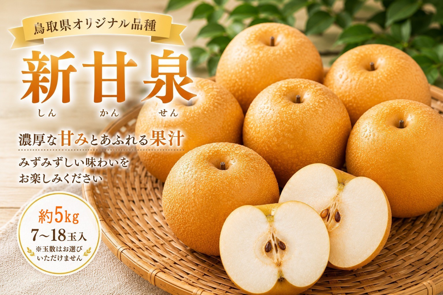 
                  鳥取県産 新甘泉 約5キロ【鳥取県 境港市】
                