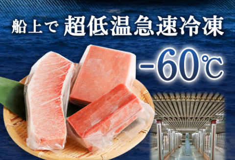 厳選 天然 本マグロ セット【 大トロ 中トロ 赤身 】６００ｇ以上 本まぐろ 100% 冷凍 刺身 海鮮 丼 さく 柵 ブロック