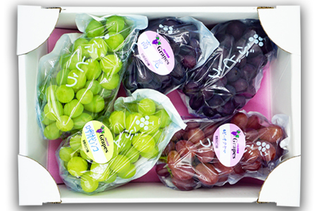 【2024年9月～10月発送分先行受付】安部ぶどう園のぶどう3種詰合せ約3kg_H093(R6)