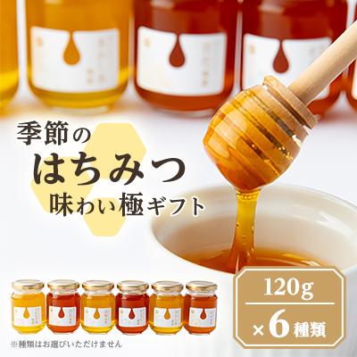 ふるさと納税 瑞浪市 東美濃厳選「季節のはちみつ味わい極ギフト」