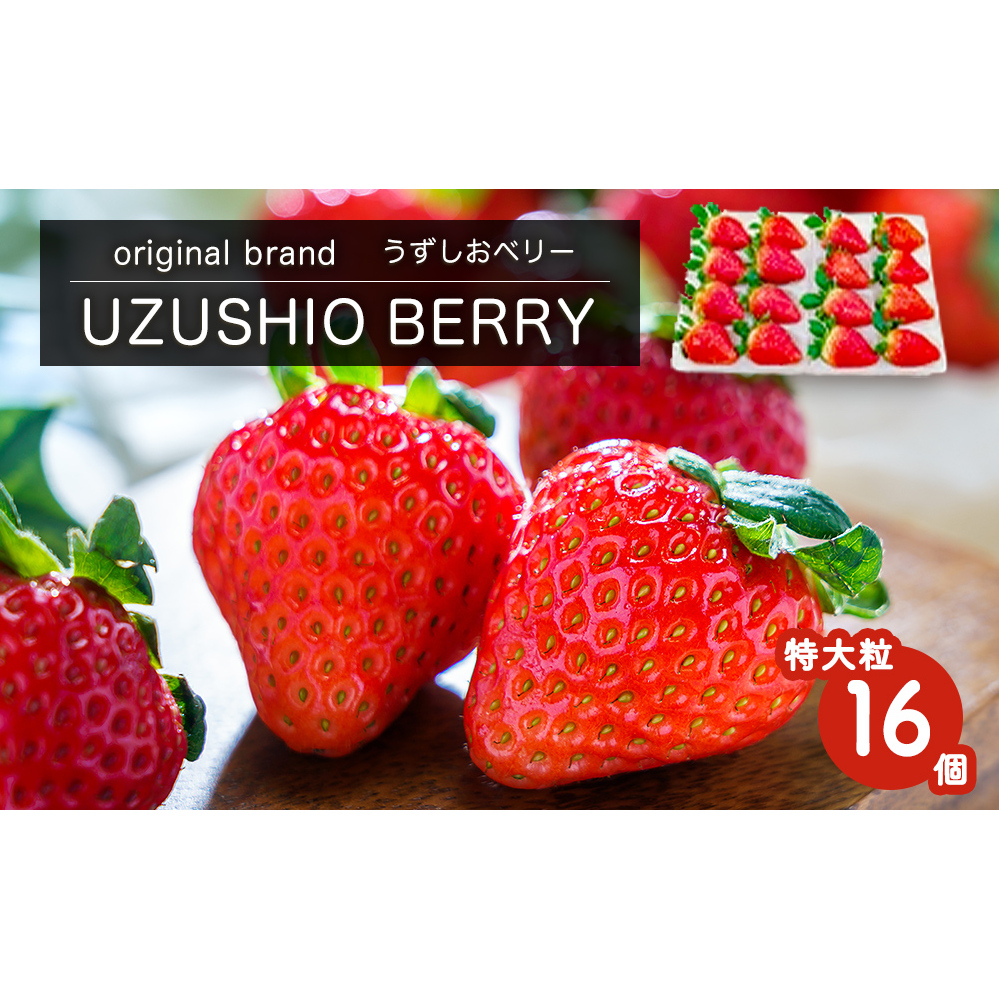 【朝摘みをお届け！】 フルーツガーデンやまがたのいちご「うずしおベリー」特大粒16個 【数量限定】 いちご フルーツ 果物 苺 イチゴ 旬の果物 季節の果物 鳴門の果物 季節のフルーツ 旬のフルーツ 