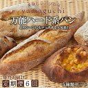 【ふるさと納税】【6回定期便】万能ハード系パンセット 毎月お届け｜詰め合わせ 食べ比べ 5種 トースト