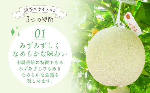 メロン めろん スカイメロン すかいめろん メロン めろん スカイメロン すかいめろん メロン めろん スカイメロン メロン