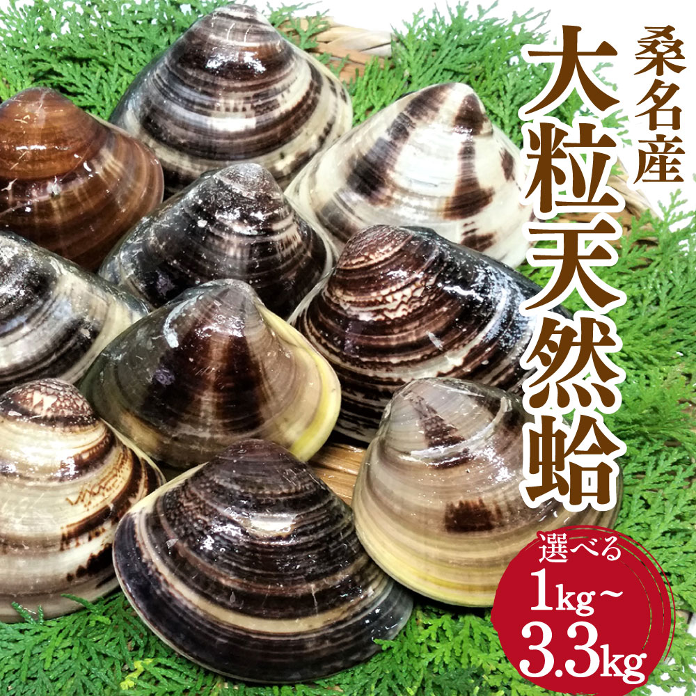 マルヨシ水産　桑名産大粒天然蛤　2kg