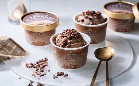 【高島屋選定品】＜dari K(ダリケー）＞ザクザク食感のカカオニブチョコレートアイス（8個セット）［ 京都 チョコレート カカオを通して世界を変える 濃厚 チョコ アイス 人気 おすすめ お菓子 洋