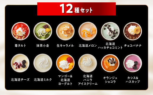 パフェアイス 12個セット アイスクリーム バニラ ミルク メロン 苺 ショコラ 生キャラメル マンゴー ヨーグルト チーズ カシス ハスカップ チョコミント 抹茶 小倉 チョコ バナナ 産地限定 ご当地 牛乳 フルーツ スイーツ ふるさと納税 北海道 白糠町