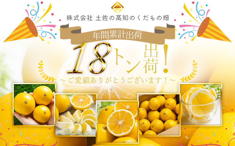 【2026年出荷分】【贈答用】ハウス小夏(日向夏) 5kg 高知 土佐 こなつ 果物 フルーツ 土佐の高知のくだもの畑 【先行予約】 - 柑橘 おいしい 国産 贈答用 お礼 御礼 kd-0032