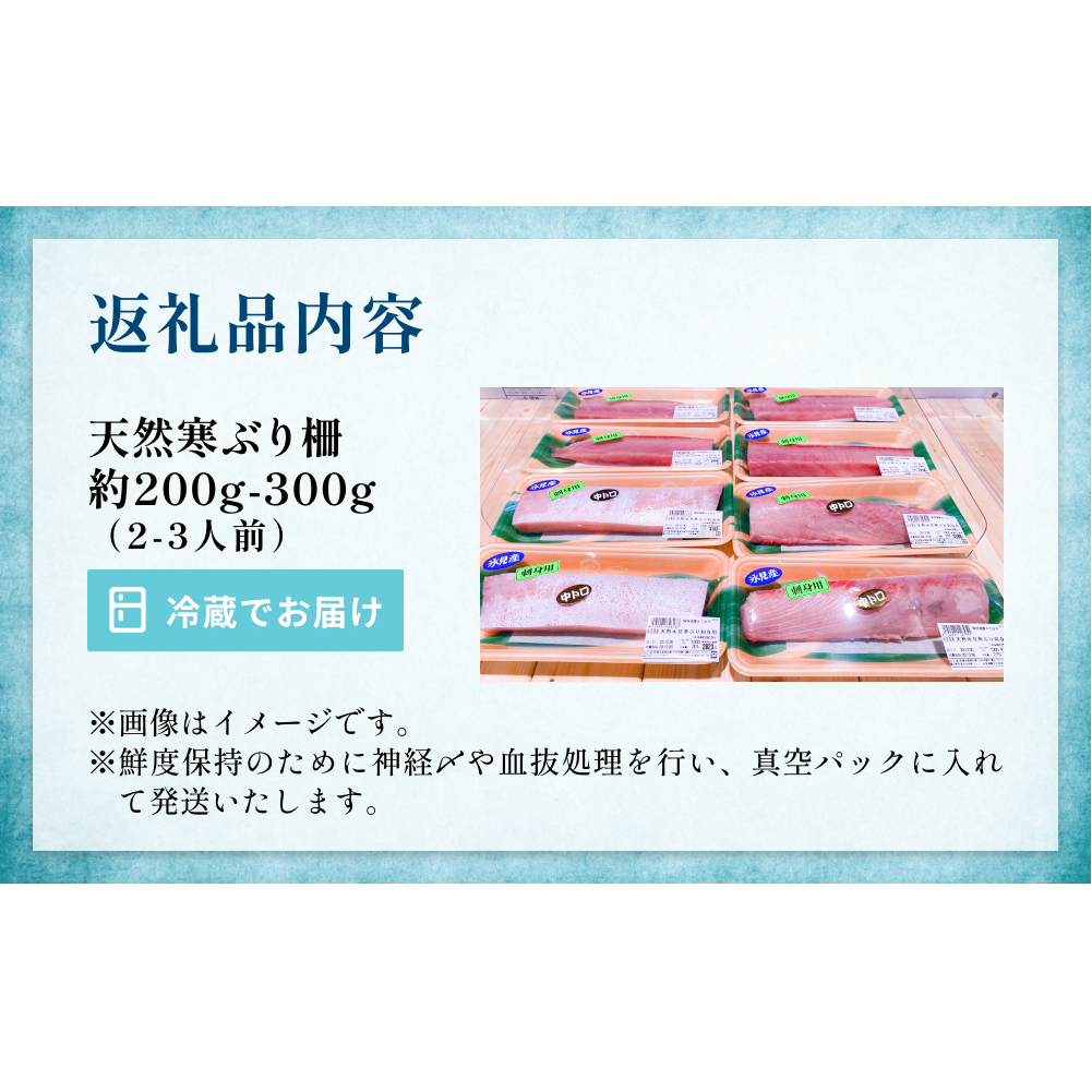 【先行予約】 氷見産 天然寒ぶり 柵 2-3人前 約200g-300g 【2025年11月中旬以降順次発送】 釣屋魚問屋直営 ひみ岸壁市場 富山県 氷見 氷見漁港 能登 寒ブリ 天然鰤 サク ひみ岸壁