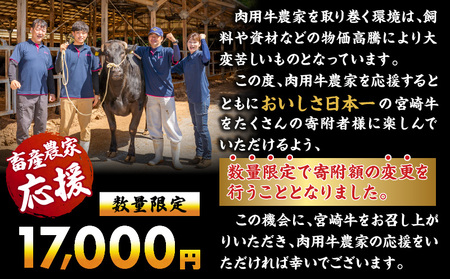 宮崎牛 ロースステーキ 250g×2枚 合計500g 宮崎県産牛肉 国産牛肉【牛肉 宮崎県産牛肉 国産牛肉 ロースステーキ 牛肉ステーキ 牛肉ロースステーキ A5ランク牛肉 5等級 牛肉 A4ランク牛