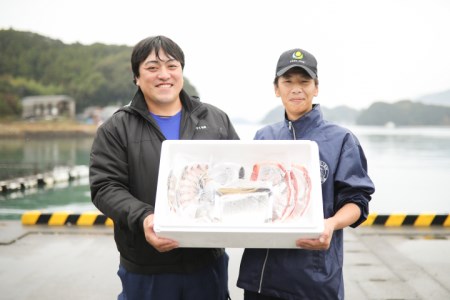 真鯛と ブリ しゃぶしゃぶ鍋セット しゃぶしゃぶ