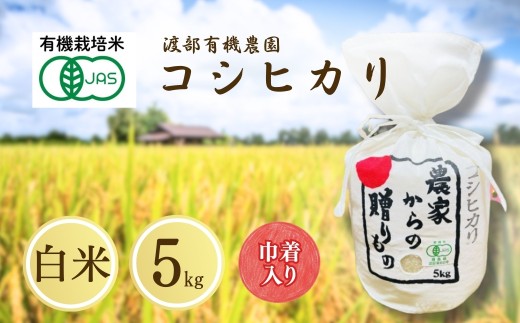 コシヒカリ 白米 5kg JAS有機米 令和7年産 キンチャク入り | JAS 有機米 精米 コメ 米 こめ ブランド米 銘柄 福島 福島県産 渡部有機農園 福島産コシヒカリ 福島産こしひかり