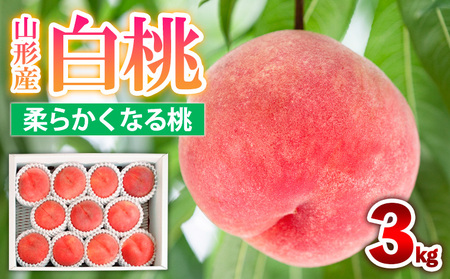 山形産 白桃 [柔らかくなる桃] 3kg(8～14玉) 秀品 品種おまかせ 【令和8年産先行予約】FS25-604 くだもの 果物 フルーツ 山形 山形県 山形市 2026年産