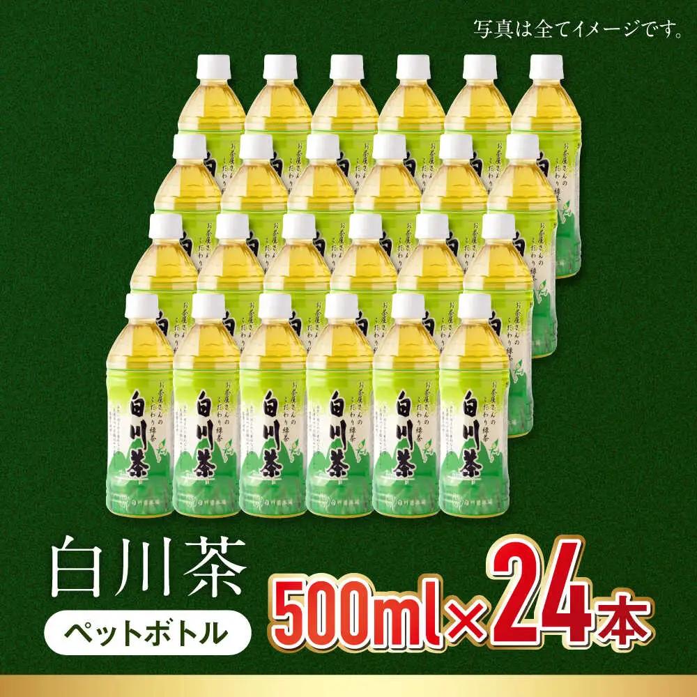 緑茶ペットボトル 500ml×24本入 / 白川園本舗[AWAT001]お茶緑茶