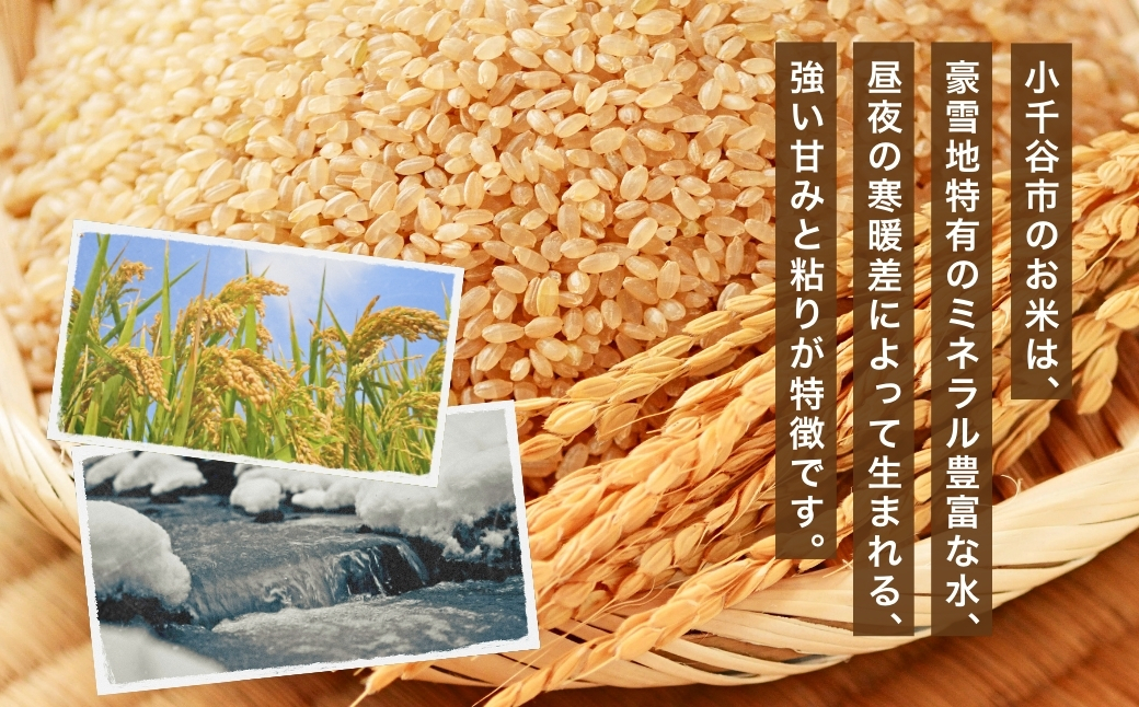 【玄米 選別品】令和7年産 魚沼産コシヒカリ 玄米 定期便5kg×3回 （隔月お届け）米太【0020-KT08DB00-02】