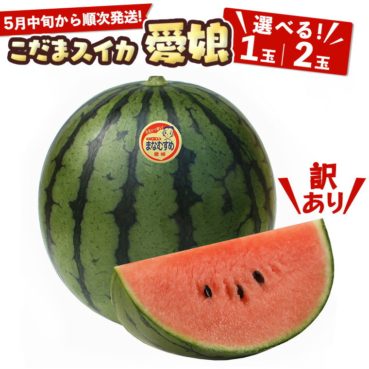 【ふるさと納税】【 訳あり 】【 5月中旬より順次発送 】 際まで甘い こだまスイカ 愛娘 （1～2玉） スイカ 西瓜 旬 旬の果実 旬のフルーツ くだもの 果実 フルーツ 夏 小玉スイカ 小玉 果物 美味しい