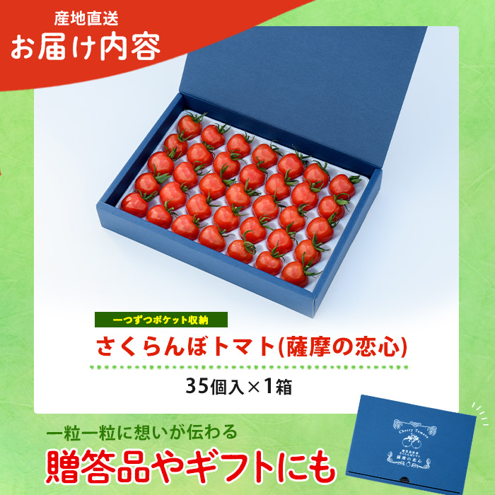 【2025年12月上旬～発送】【鹿児島県指宿市産】さくらんぼトマト 薩摩の恋心 35個入(シナジーブリーディング/010-373)トマト 美味しいトマト フルーツトマト サクランボ トマト ミニトマト