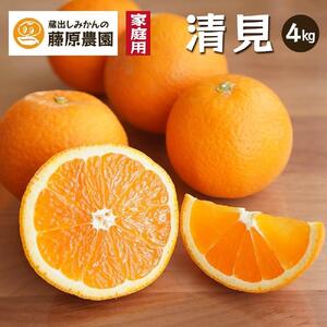 清見オレンジ（みかん）4kg家庭用｜和歌山県海南市下津町で育てた和製オレンジを産地直送でお届け【2026年3月～発送予定】