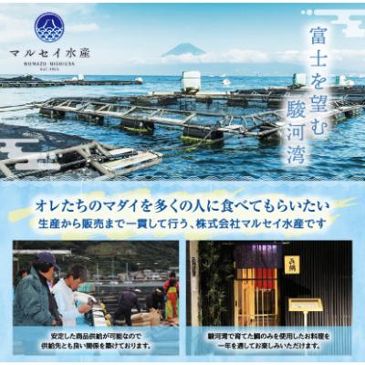 ふるさと納税 沼津市 トロのような脂ノリ!沼津産さしみ用マダイ(皮引き柵)約130g×2袋 |  | 02