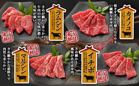 宮崎牛食べ比べ10種盛り焼肉セット(各600g×2P)≪みやこんじょ快速便≫_34-3103-R_(都城市) 都城産 宮崎牛 A4ランク 焼肉 セット 内モモ カタ トンビ ランプ ラムシン マルシン