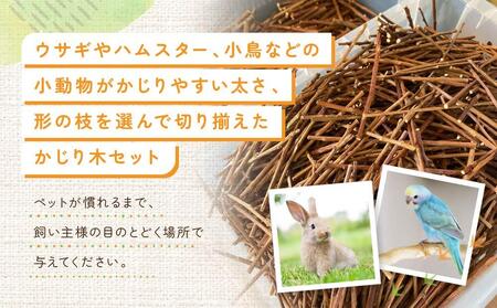 かじるの大好き　小動物かじり木セット