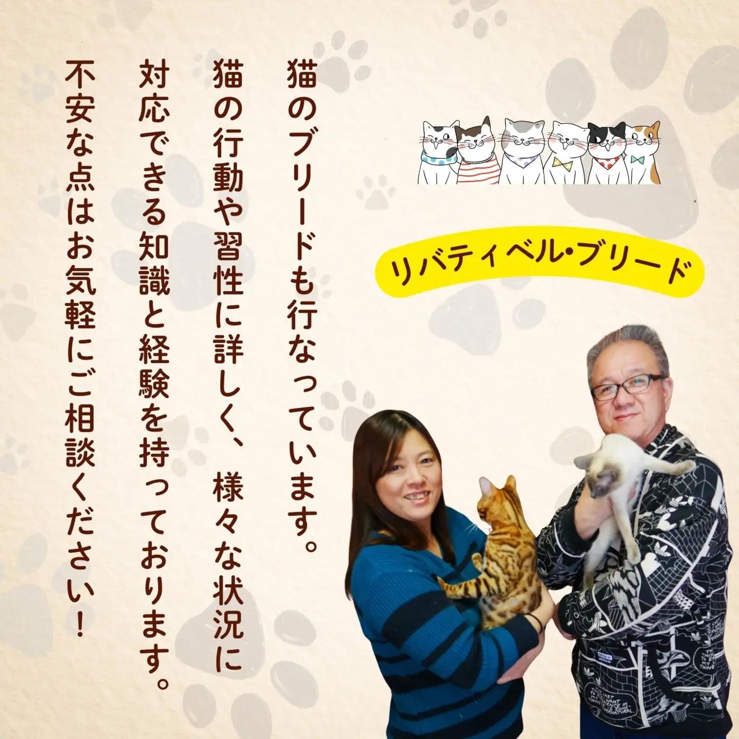 【長野県飯山市】にゃんほてる（猫専用ペットホテル） リバティベル 利用券3,000円分（T-17） 