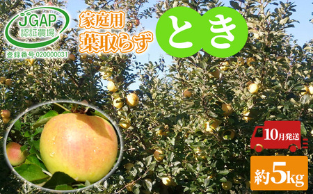 10月発送 家庭用 葉取らず とき 約 5kg【 訳あり 】鶴翔りんごGAP部会 青森県産 津軽産 リンゴ 林檎 トキ 果物類 フルーツ りんご 