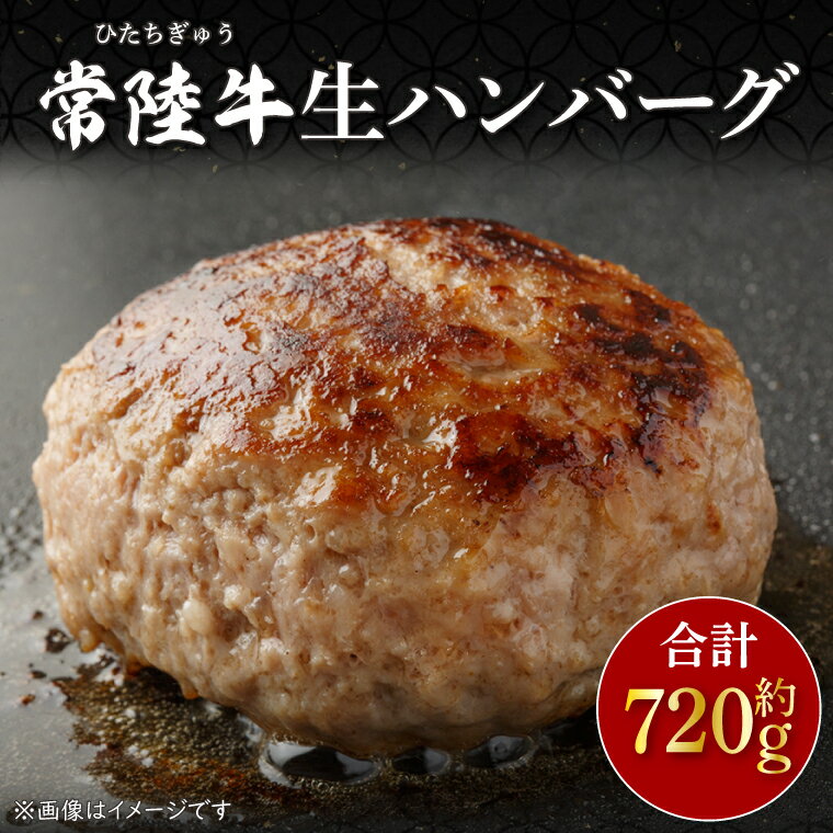 【ふるさと納税】常陸牛生ハンバーグ　約120g×6(CU-209-1)