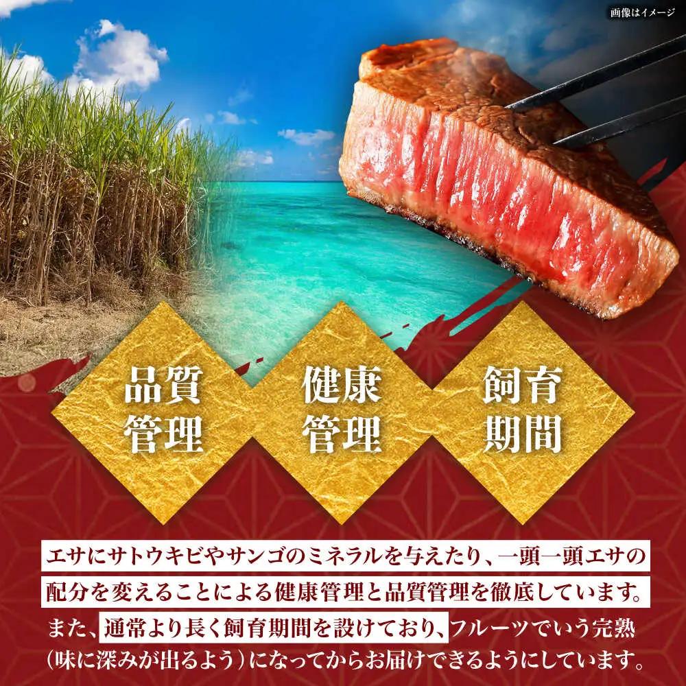 ステーキ 500g【全6回定期便】佐渡山牛 和牛 牛肉 BCBC006