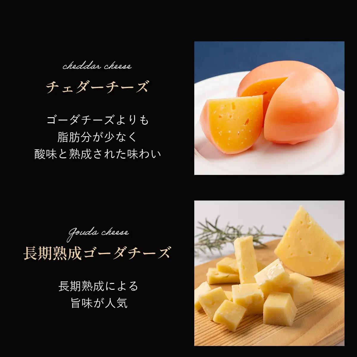 ひがしもこと乳酪館 チーズ詰め合わせセット 10種（※旧オールスターズ） OSA069