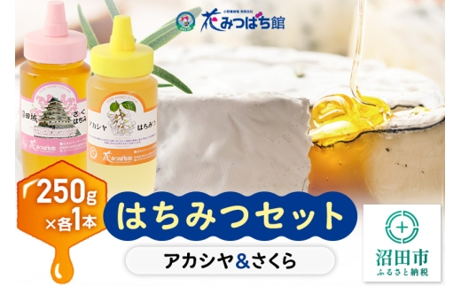アカシヤ・沼田城さくらはちみつセット 各250g 花みつばち館