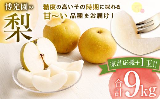 【9月発送分】【家計応援】【数量限定】梨 9.0kg+1玉  豊水 20世紀 新高 新興 果物 フルーツ