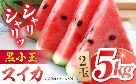 【先行予約】黒小玉 スイカ (ひとりじめ BonBon) 2玉 計約5kg【岡山農園】すいか 西瓜 熊本スイカ [ZBY001]