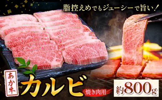 あか牛カルビ 焼き肉用 約800g 合同会社たべたせいか《30日以内に出荷予定(土日祝除く)》熊本県 菊池市 肉 牛肉 お肉 和牛 あか牛 焼き肉 焼肉 やきにく BBQ バーベキュー カルビ 熊本県産 冷凍 送料無料