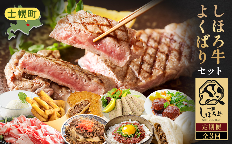 <全3回> 道の駅定期便 ピア21しほろ しほろ牛よくばりセット 【L903】