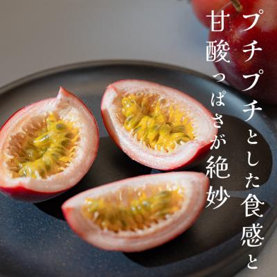 ふるさと納税 大月町 パッションフルーツ 10個 栽培期間中農薬不使用  有機肥料 南国フルーツ トロピカルフルーツ |  | 01