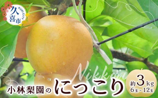 梨 にっこり 約3kg 6玉～12玉 先行予約 数量限定 | 梨 なし にっこり 先行予約 数量限定 フルーツ 果物 和梨 産地直送 限定品 贈り物 新鮮 お取り寄せ デザート ギフト 風味豊か 香り 上品 甘い 限定 果樹 旬 ジューシー みずみずしい 高糖度 季節のフルーツ 小林梨園 埼玉県 久喜市
