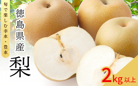 【8月上旬から9月上旬まで発送】梨 2kg以上 豊水 幸水 国産
