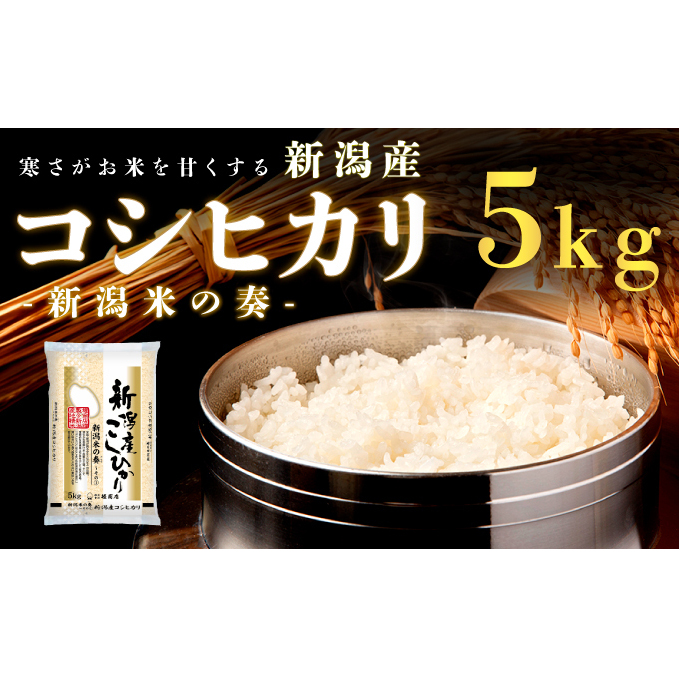【令和7年新米予約】新潟産コシヒカリ 5kg 米 精米