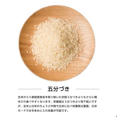 ふるさと納税 潟上市 【新米予約】令和7年産 秋田県産あきたこまち 10kg(5kg×2袋)(五分づき)9月下旬〜順次発送 |  | 01