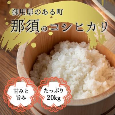 ふるさと納税 那須町 那須町産コシヒカリ　白米(精米)10kg×2袋〔P-147〕