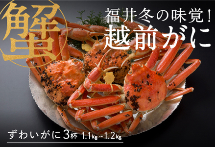 【産地直送】福井冬の味覚！越前がに（1.1～1.2kg）× 3杯