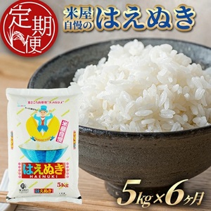 SJ0059　【6回定期便】［精米］はえぬき　5kg×6回(計30kg) TO