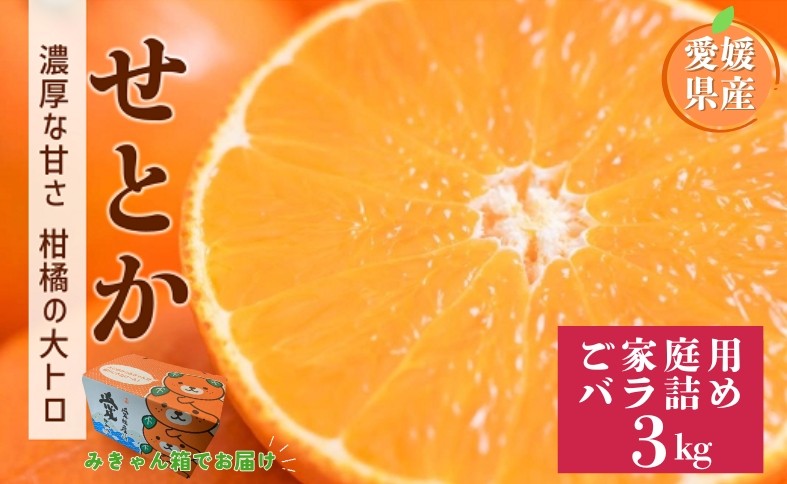 
                  【2027年先行予約】せとか 3kg バラ詰め Mサイズ以上 【2027年2月上旬より順次発送予定】 みきゃん箱 愛媛 数量限定 愛媛県産 人気 柑橘 フルーツ 国産 おすすめ 伊予市｜B558
                