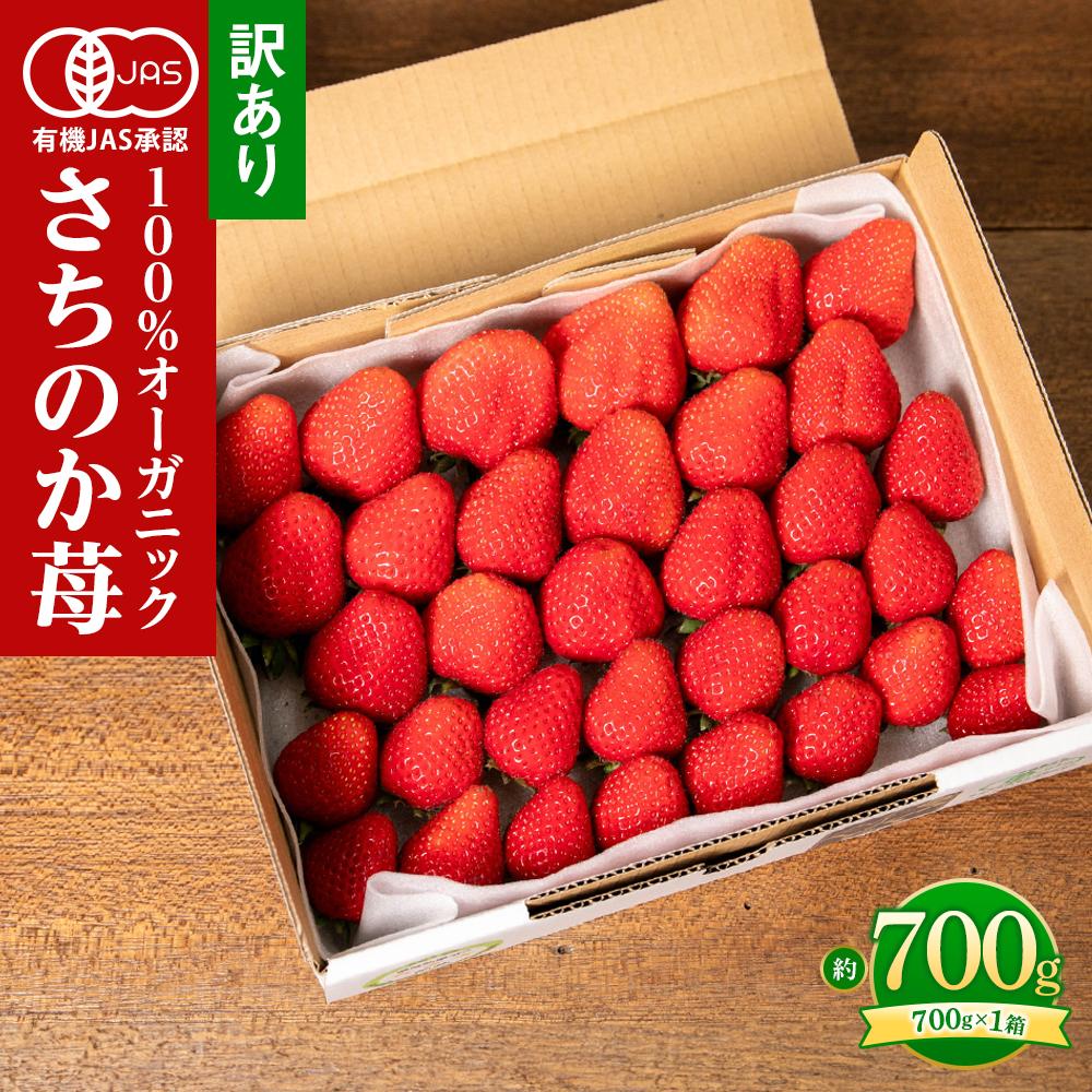【ふるさと納税】訳ありいちご とくしまオーガニックいちご（約700g）ご家庭用 | フルーツ 果物 くだもの 食品 いちご 苺 人気 期間限定 人気 ギフト プレゼント 贈答 ケーキ グルメ デザート おやつ お菓子 送料無料
