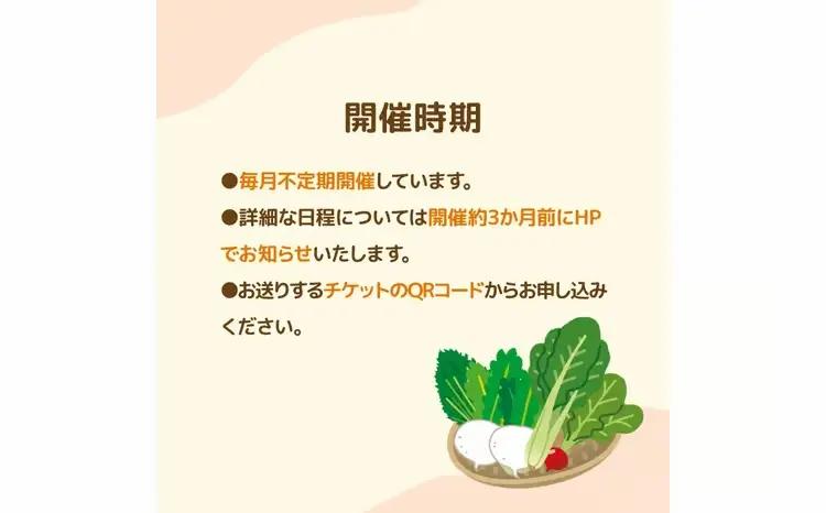 不登校児童生徒の農業体験（5回） 〈 学び 食育 収穫体験 農業体験 体験 収穫 野菜 子供 親子 農作物 ふるさと納税 柏 〉